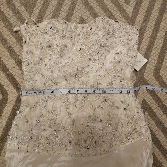 Stephen Yearick Ivory Strapless Wedding Dress 6 - Picture 9 of 12